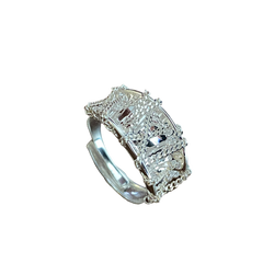 Opening Adjustable Chain Ring